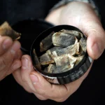 Upgrade Your Nicotine Experience with These Premium Pouches