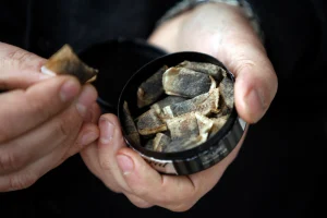 Upgrade Your Nicotine Experience with These Premium Pouches